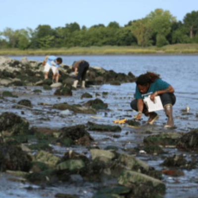 Little Hell Gate Salt Marsh 2